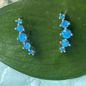 Blue Opal Sterling Silver 925 Earrings